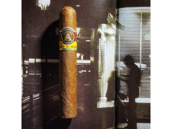 Aladino Corojo Robusto 50 x 5